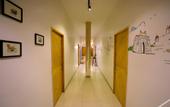 Туры в отель Nap Manor Hostels