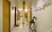 Туры в отель Nap Manor Hostels