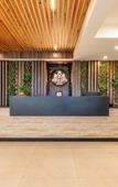 Туры в отель White Rock By The Solitaire Hospitality
