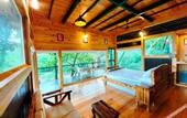 Туры в отель The Arboreal Resort