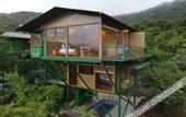 Туры в отель The Arboreal Resort