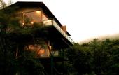 Туры в отель The Arboreal Resort