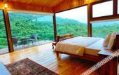 Туры в отель The Arboreal Resort