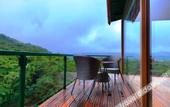 Туры в отель The Arboreal Resort