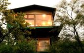 Туры в отель The Arboreal Resort