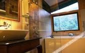Туры в отель The Arboreal Resort