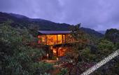 Туры в отель The Arboreal Resort