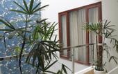 Туры в отель The Indigo Stay