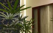 Туры в отель The Indigo Stay