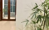 Туры в отель The Indigo Stay