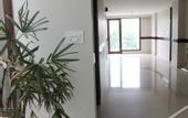 Туры в отель The Indigo Stay