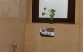 Туры в отель The Indigo Stay