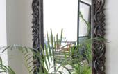 Туры в отель The Indigo Stay