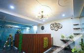 Туры в отель Lime Tree Hotel near 32nd Avenue