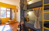 Туры в отель The Hosteller Narkanda