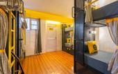 Туры в отель The Hosteller Narkanda