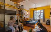 Туры в отель The Hosteller Narkanda