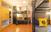 Туры в отель The Hosteller Narkanda