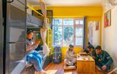 Туры в отель The Hosteller Narkanda