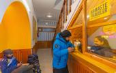 Туры в отель The Hosteller Narkanda
