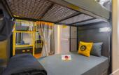 Туры в отель The Hosteller Narkanda