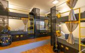 Туры в отель The Hosteller Narkanda