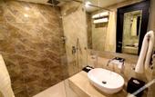 Туры в отель Udman Hotel Haridwar