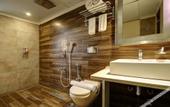 Туры в отель Hotel Mumbai House Juhu