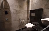 Туры в отель Hotel Ramaya Inn @ Har Ki Pauri Road