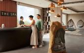 Туры в отель Hyatt Regency Dehradun Resort and Spa