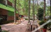 Туры в отель The Woods Retreat