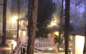Туры в отель The Woods Retreat