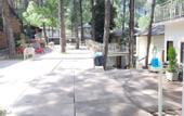 Туры в отель The Woods Retreat