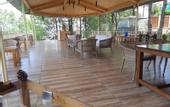 Туры в отель The Woods Retreat