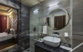 Туры в отель Sterling Shivalik Chail