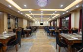 Туры в отель Sterling Shivalik Chail