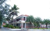 Туры в отель Coral Beach Resort