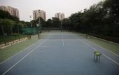 Туры в отель DLF Club 4