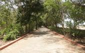 Туры в отель Golden Sun Beach Resort
