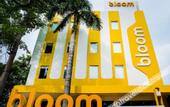 Туры в отель Bloom Hotel - Sector 19
