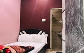 Туры в отель Hotel Aliza Palace Ajmer