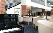 Туры в отель Millennium Hotel Christchurch