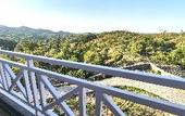 Туры в отель The Sky Imperial Pavoreal Jungle Resort