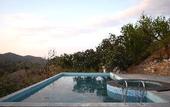 Туры в отель The Sky Imperial Pavoreal Jungle Resort