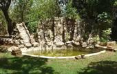 Туры в отель Treebo Premium Mowgli's Den Pench Tiger Reserve
