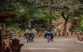 Туры в отель Treebo Premium Mowgli's Den Pench Tiger Reserve