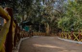 Туры в отель Treebo Premium Mowgli's Den Pench Tiger Reserve