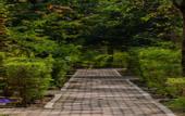 Туры в отель Treebo Premium Mowgli's Den Pench Tiger Reserve