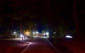 Туры в отель Treebo Premium Mowgli's Den Pench Tiger Reserve