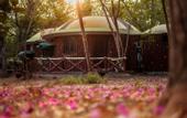Туры в отель Treebo Premium Mowgli's Den Pench Tiger Reserve